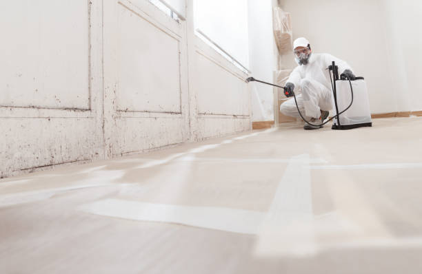 24/7 Emergency Mold Testing experts in Grass Lake, MI