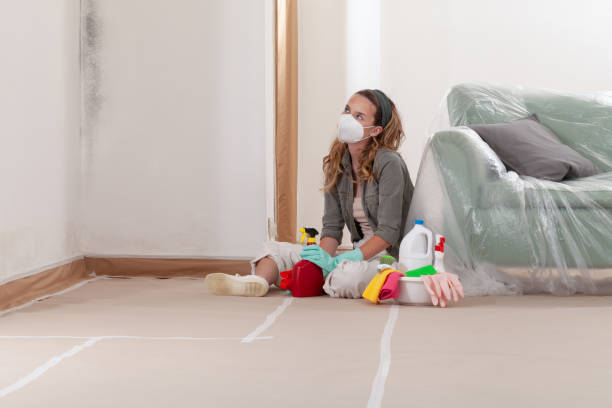 Reliable Mold Testing contractor in Grass Lake, MI by WQB Mold Removal